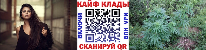 Виды наркотиков купить Камешково ЭКСТАЗИ  Alpha-PVP  МЕФ  кракен рабочий сайт  Cocaine  Гашиш  Бошки Шишки 