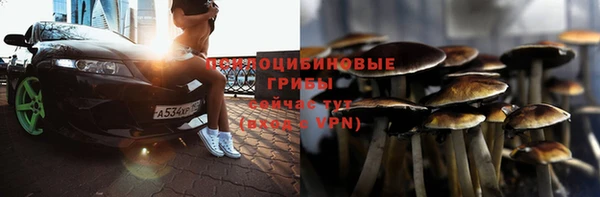 молекула духа Алзамай