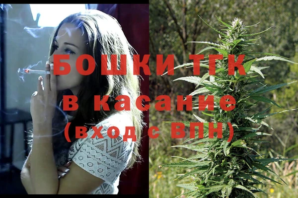 spice Аркадак
