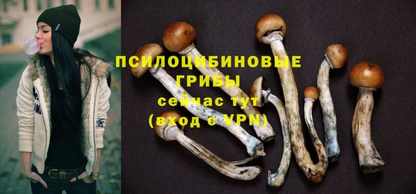 молекула духа Алзамай
