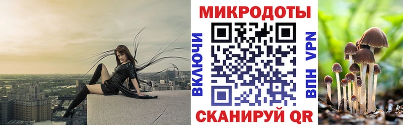 купить закладку  Камешково  Галлюциногенные грибы GOLDEN TEACHER 