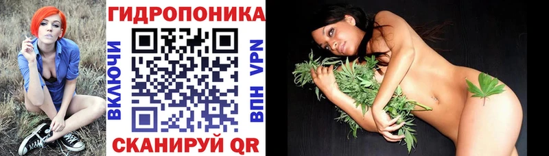 Бошки Шишки Amnesia Камешково
